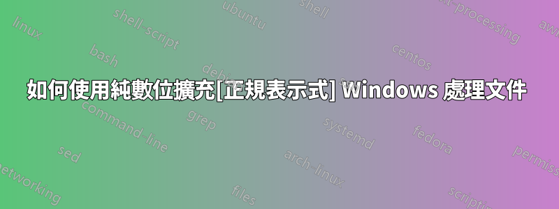 如何使用純數位擴充[正規表示式] Windows 處理文件