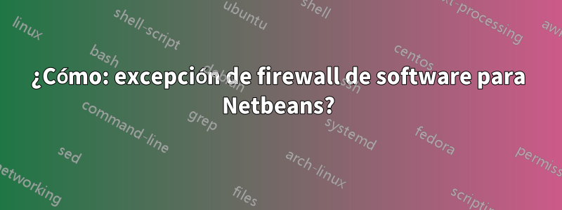 ¿Cómo: excepción de firewall de software para Netbeans?