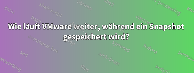 Wie läuft VMware weiter, während ein Snapshot gespeichert wird?