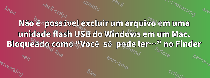 Não é possível excluir um arquivo em uma unidade flash USB do Windows em um Mac. Bloqueado como “Você só pode ler…” no Finder