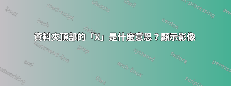 資料夾頂部的「X」是什麼意思？顯示影像