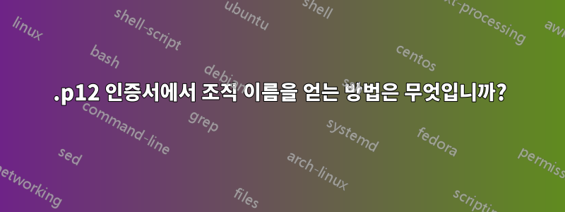 .p12 인증서에서 조직 이름을 얻는 방법은 무엇입니까?