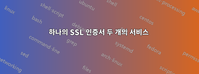 하나의 SSL 인증서 두 개의 서비스