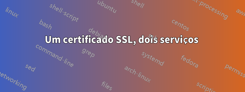 Um certificado SSL, dois serviços