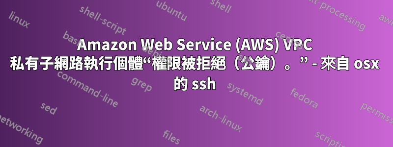 Amazon Web Service (AWS) VPC 私有子網路執行個體“權限被拒絕（公鑰）。” - 來自 osx 的 ssh