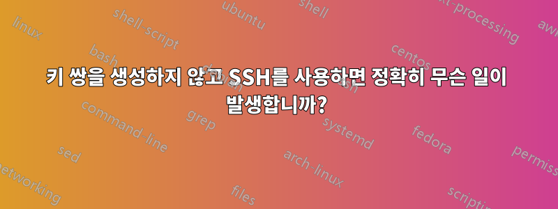 키 쌍을 생성하지 않고 SSH를 사용하면 정확히 무슨 일이 발생합니까?