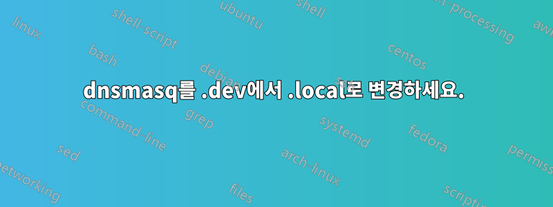 dnsmasq를 .dev에서 .local로 변경하세요.