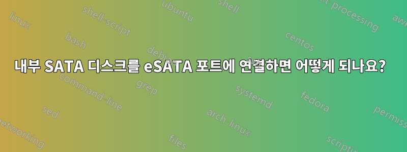 내부 SATA 디스크를 eSATA 포트에 연결하면 어떻게 되나요? 