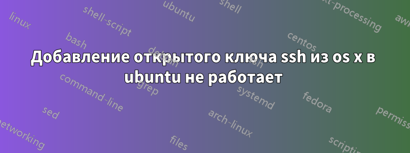 Добавление открытого ключа ssh из os x в ubuntu не работает