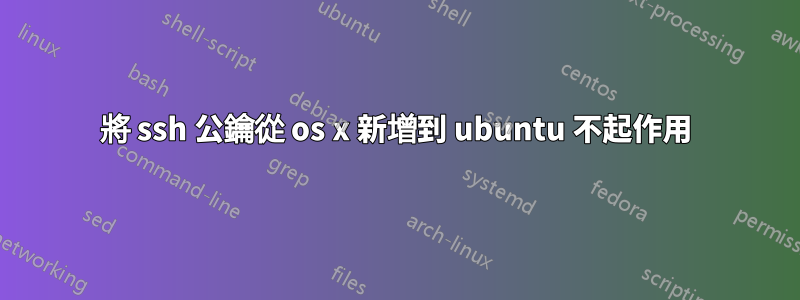 將 ssh 公鑰從 os x 新增到 ubuntu 不起作用