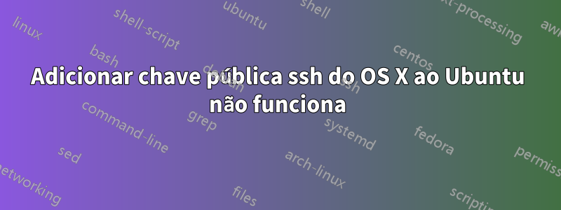 Adicionar chave pública ssh do OS X ao Ubuntu não funciona