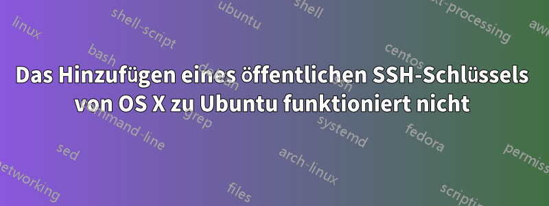 Das Hinzufügen eines öffentlichen SSH-Schlüssels von OS X zu Ubuntu funktioniert nicht