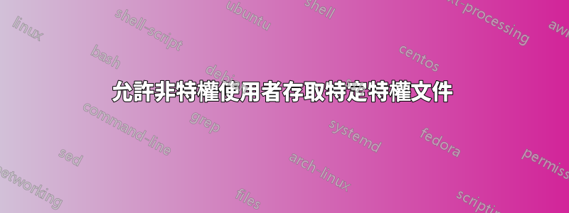 允許非特權使用者存取特定特權文件