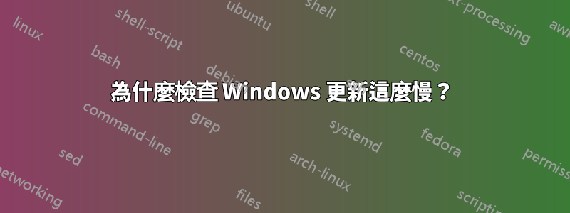 為什麼檢查 Windows 更新這麼慢？