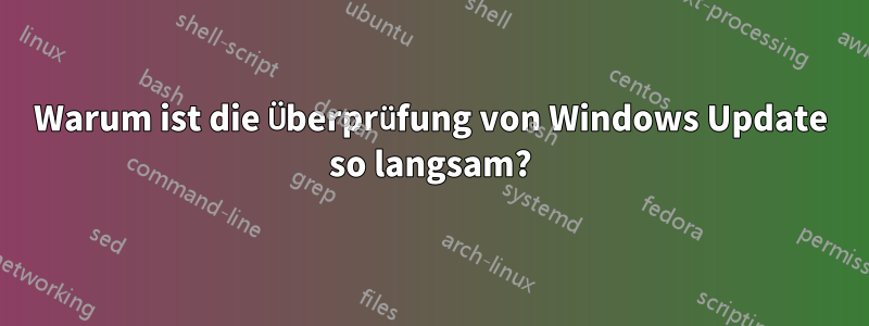 Warum ist die Überprüfung von Windows Update so langsam?