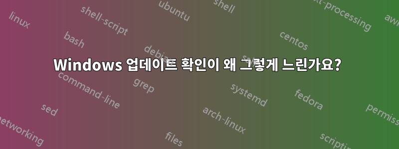 Windows 업데이트 확인이 왜 그렇게 느린가요?