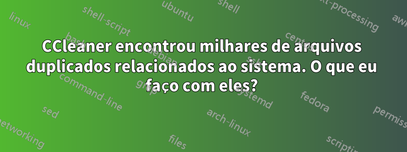 CCleaner encontrou milhares de arquivos duplicados relacionados ao sistema. O que eu faço com eles?