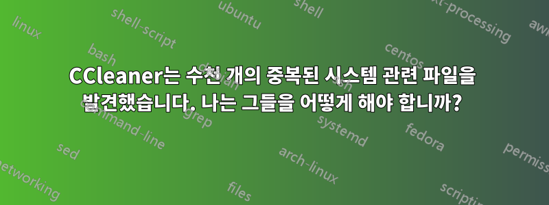 CCleaner는 수천 개의 중복된 시스템 관련 파일을 발견했습니다. 나는 그들을 어떻게 해야 합니까?