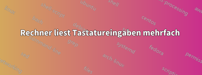 Rechner liest Tastatureingaben mehrfach