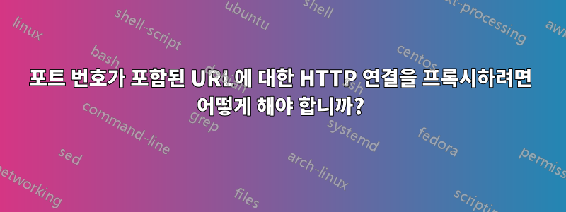 포트 번호가 포함된 URL에 대한 HTTP 연결을 프록시하려면 어떻게 해야 합니까?