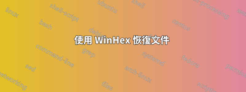 使用 WinHex 恢復文件