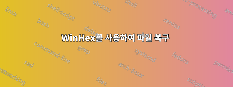 WinHex를 사용하여 파일 복구