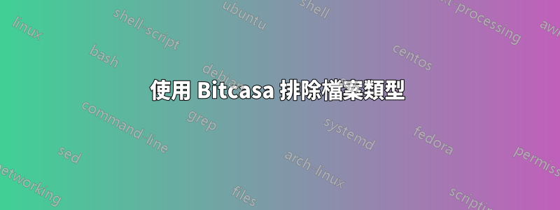 使用 Bitcasa 排除檔案類型