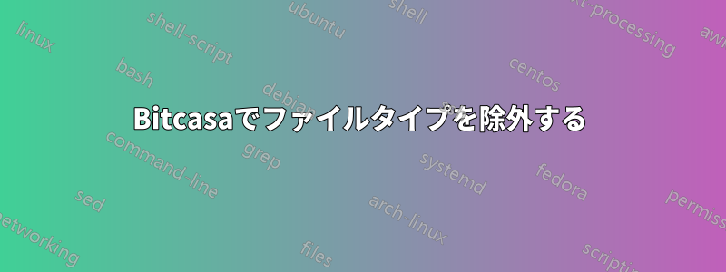 Bitcasaでファイルタイプを除外する