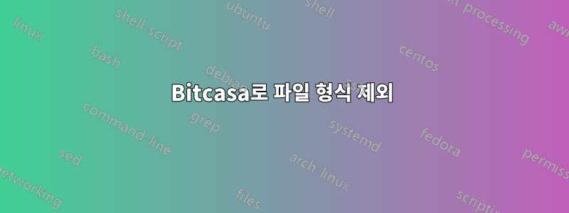 Bitcasa로 파일 형식 제외