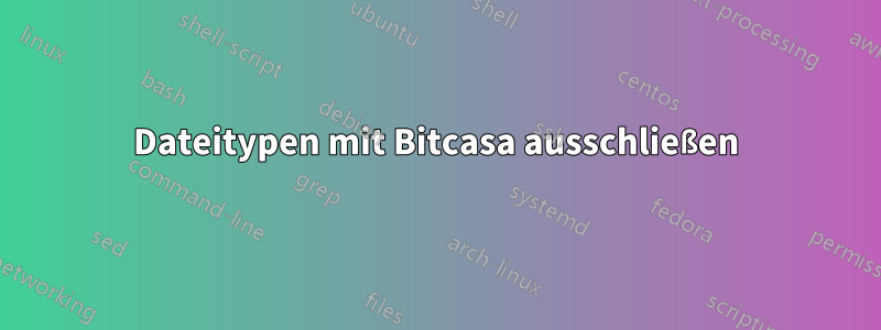 Dateitypen mit Bitcasa ausschließen