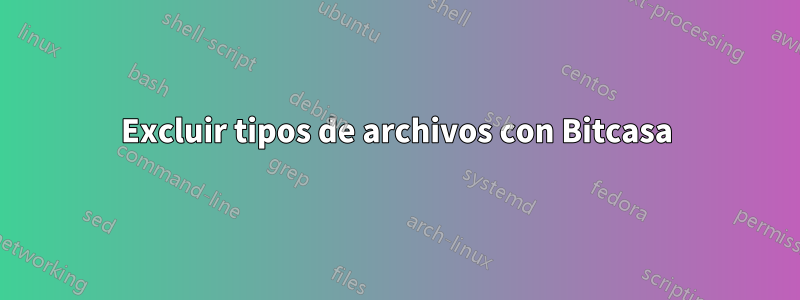 Excluir tipos de archivos con Bitcasa