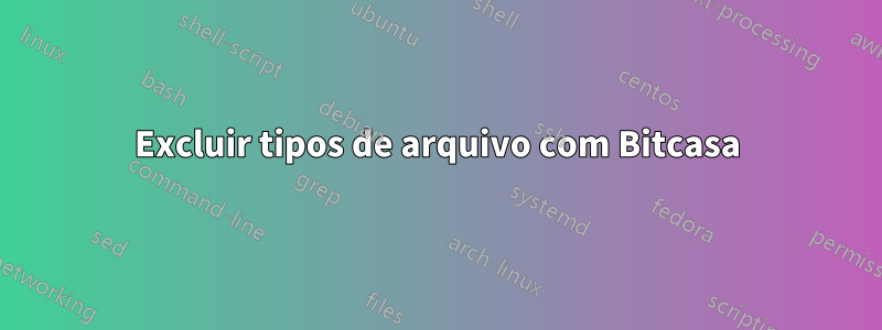 Excluir tipos de arquivo com Bitcasa