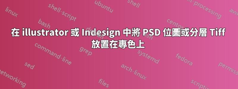 在 illustrator 或 Indesign 中將 PSD 位圖或分層 Tiff 放置在專色上