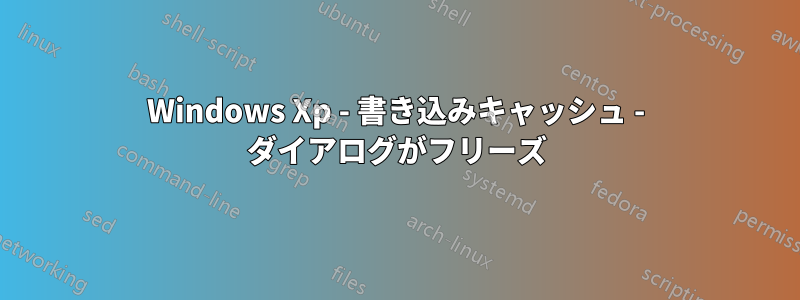 Windows Xp - 書き込みキャッシュ - ダイアログがフリーズ