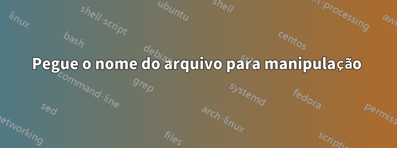 Pegue o nome do arquivo para manipulação