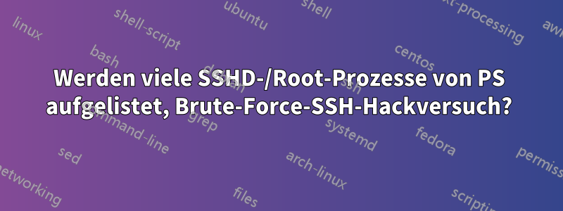 Werden viele SSHD-/Root-Prozesse von PS aufgelistet, Brute-Force-SSH-Hackversuch?