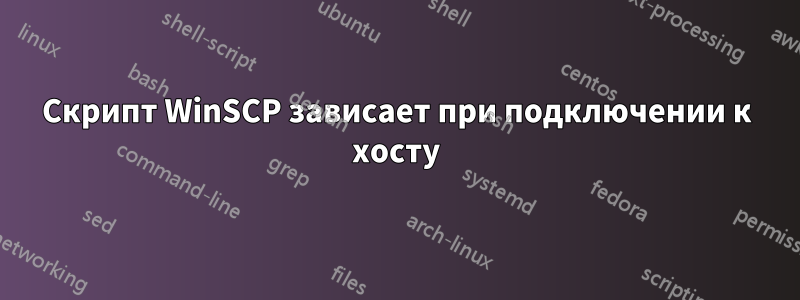 Скрипт WinSCP зависает при подключении к хосту