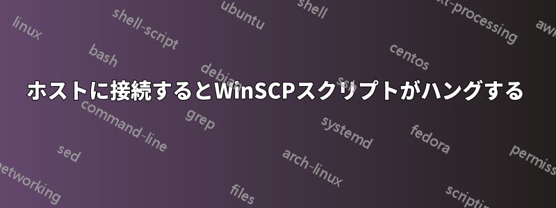 ホストに接続するとWinSCPスクリプトがハングする