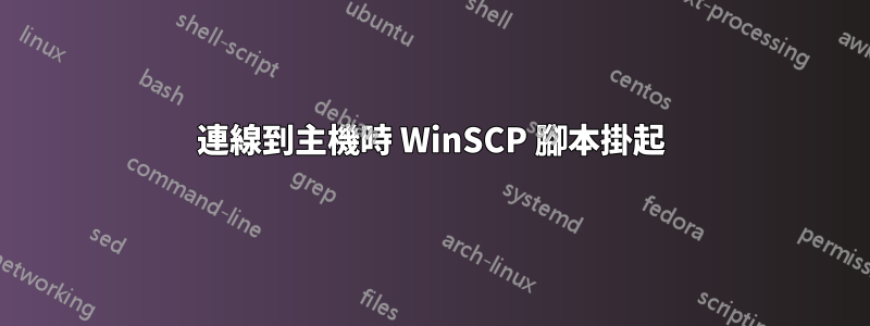 連線到主機時 WinSCP 腳本掛起