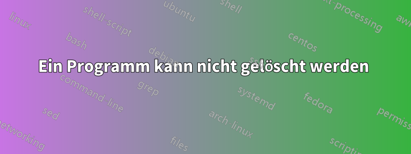 Ein Programm kann nicht gelöscht werden