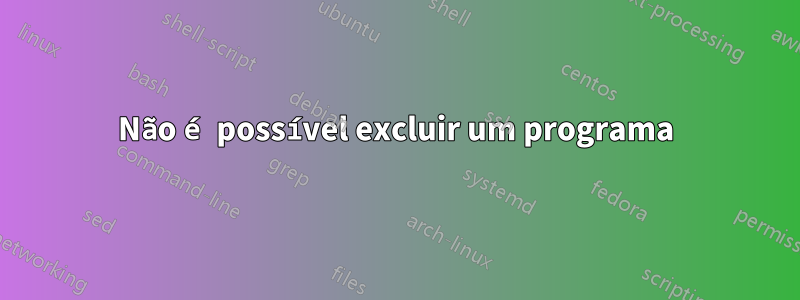 Não é possível excluir um programa