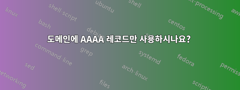 도메인에 AAAA 레코드만 사용하시나요?