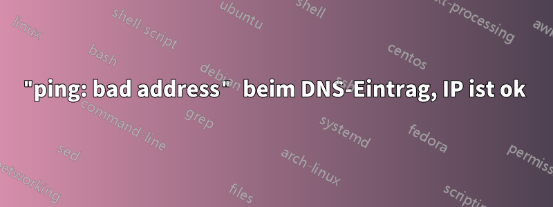 "ping: bad address" beim DNS-Eintrag, IP ist ok