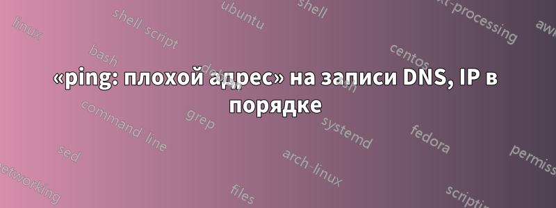 «ping: плохой адрес» на записи DNS, IP в порядке
