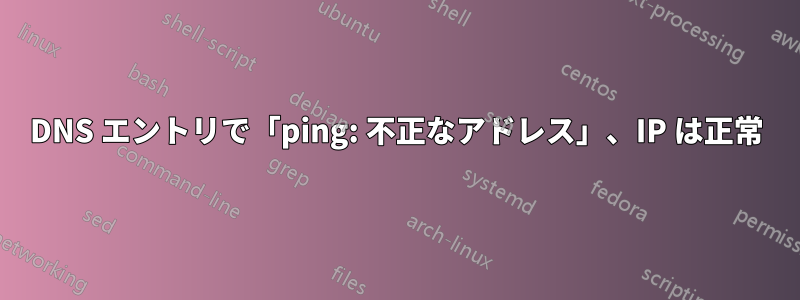 DNS エントリで「ping: 不正なアドレス」、IP は正常