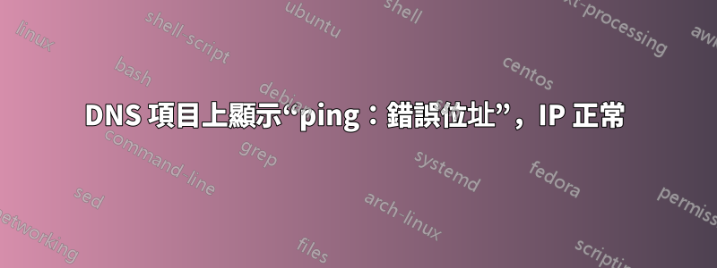 DNS 項目上顯示“ping：錯誤位址”，IP 正常