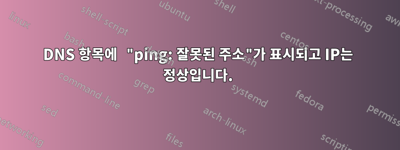 DNS 항목에 "ping: 잘못된 주소"가 표시되고 IP는 정상입니다.