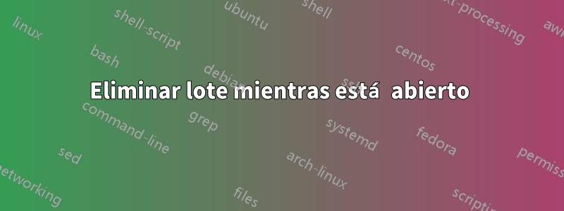 Eliminar lote mientras está abierto