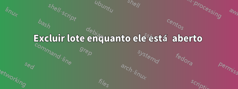 Excluir lote enquanto ele está aberto