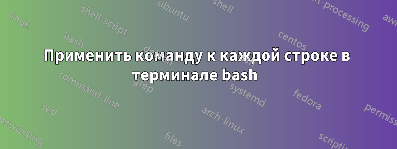 Применить команду к каждой строке в терминале bash 